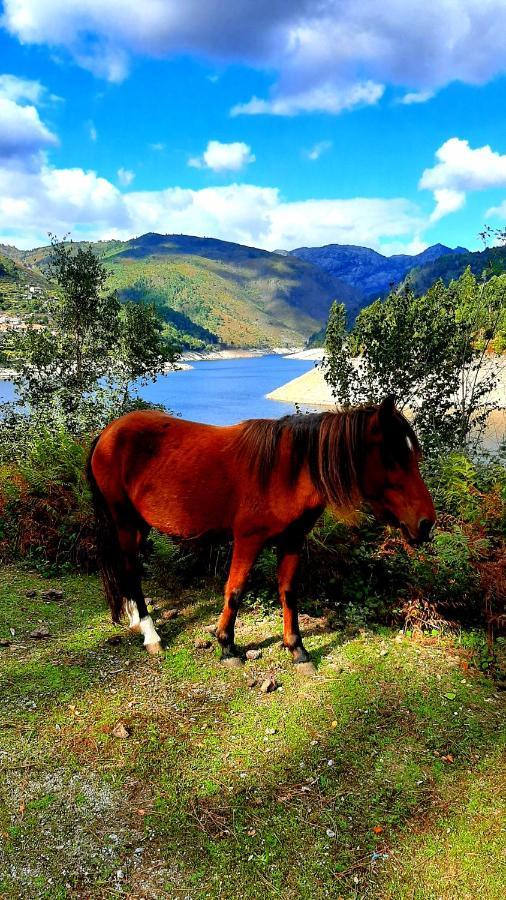 Casa Do Sertao Para 4 Pessoas -Geres Виана-ду-Каштелу Экстерьер фото