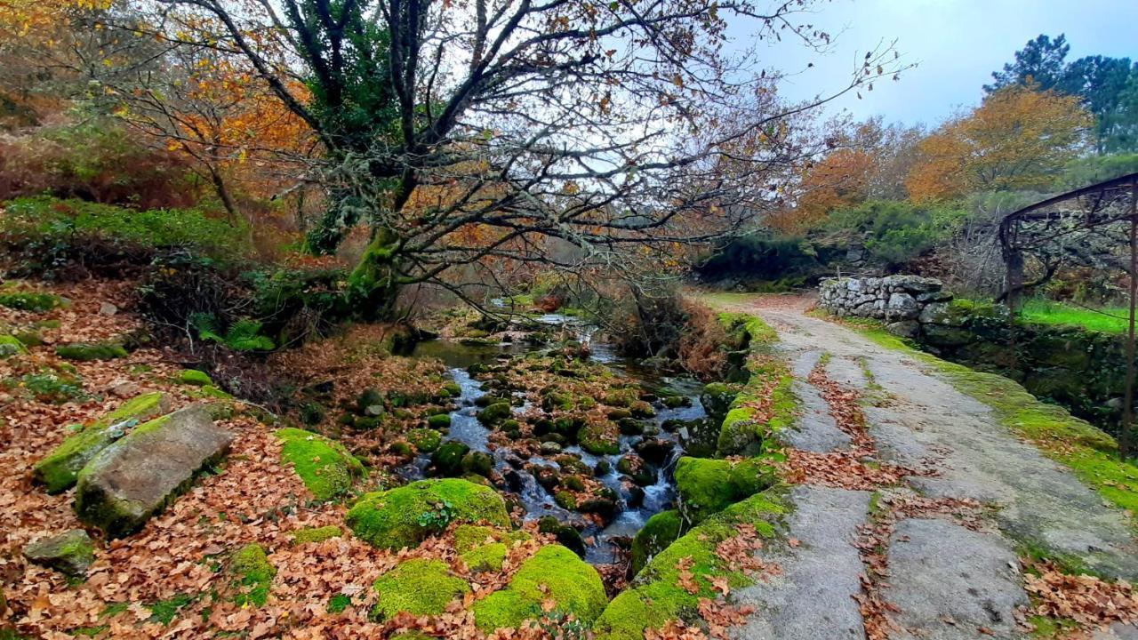 Casa Do Sertao Para 4 Pessoas -Geres Виана-ду-Каштелу Экстерьер фото